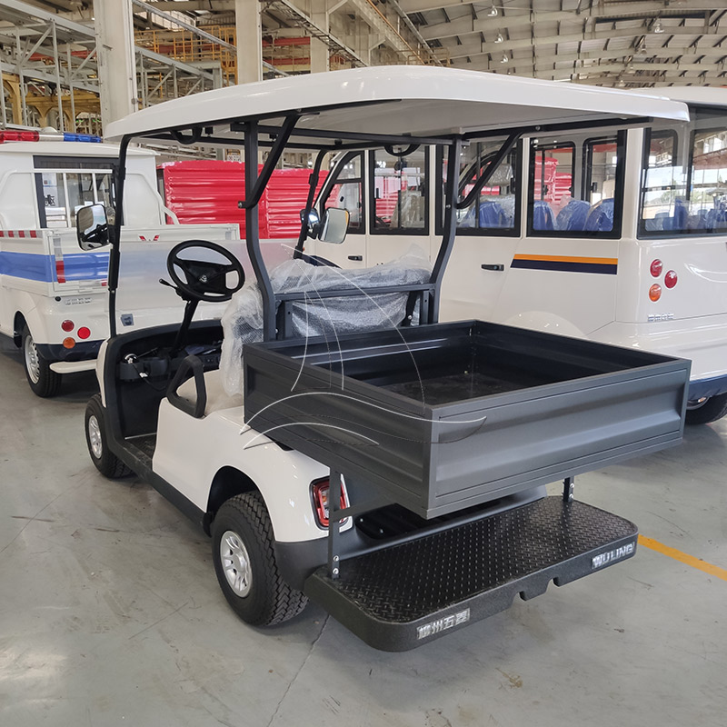 2-seat Cargo Bed Golf Cart