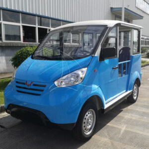 5-seat Closed Blue Sightseeing Cart