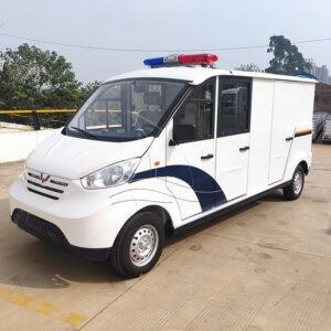 5-seat Closed Patrol Police Cart With Cargo Box
