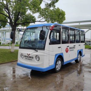 Closed Customized Sightseeing Cart