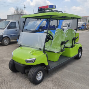 Green Customized Golf Cart