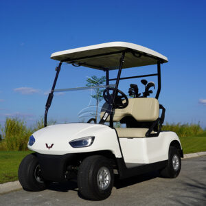 T200 2-seat White Golf Cart