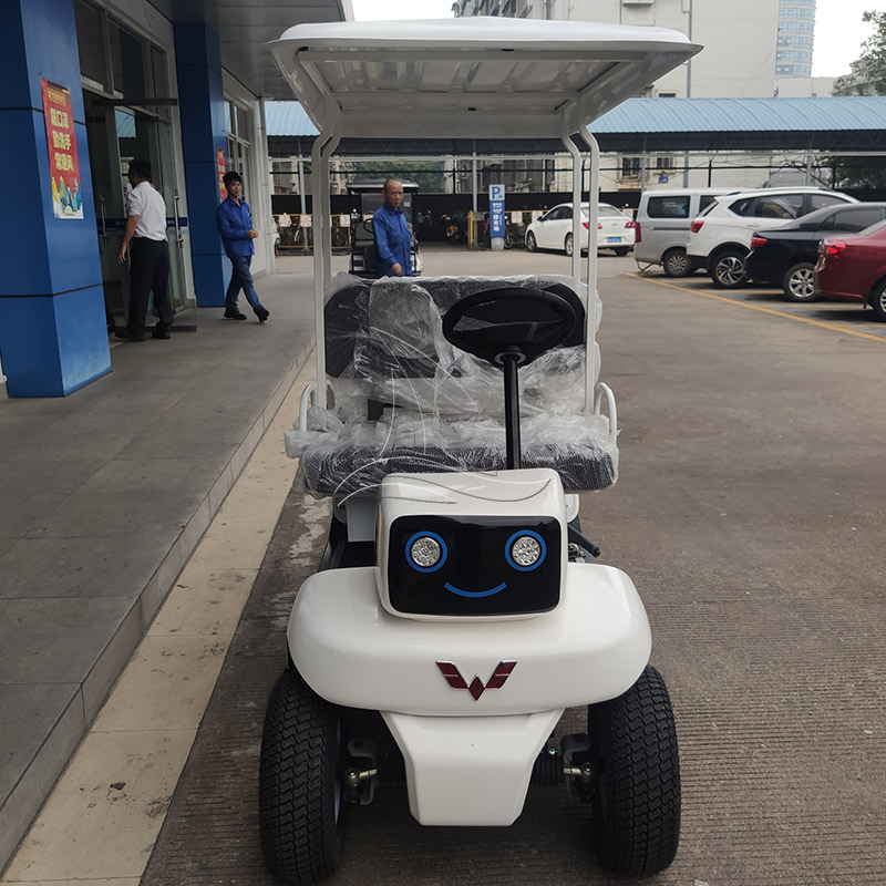 Two-seat Robot-Style Sightseeing Cart