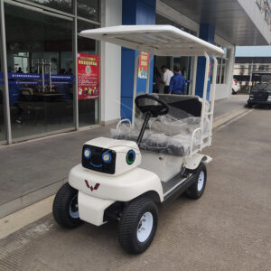 Two-seat Robot-Style Sightseeing Cart