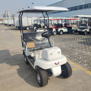 Two-seat White Shared Sightseeing Cart